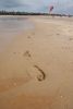 DSC08008.JPG