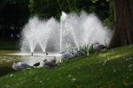 DSC08074.JPG