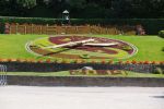 DSC08092.JPG