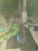 WhatsApp Image 2019-05-26 at 10.51.38.jpeg