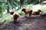 DSC04302.JPG
