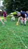signal-2024-07-14-120244_003.jpeg
