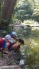 signal-2024-07-14-115852_002.jpeg